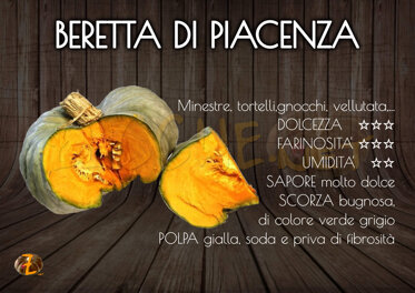 Beretta Piacentina