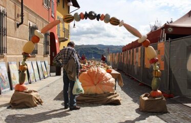 Fiera della zucca di Piozzo Fiera della zucca di Piozzo