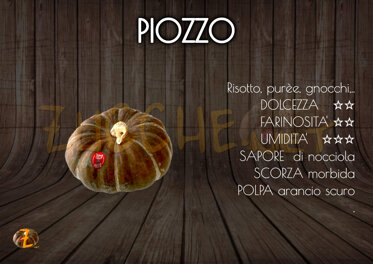 Piozzo