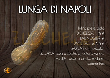 Lunga di Napoli