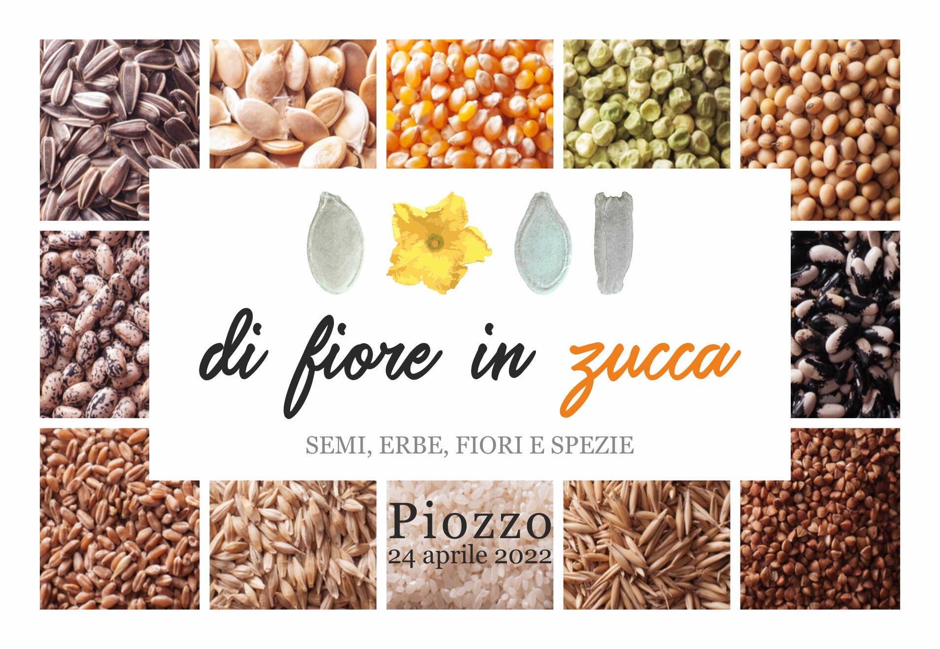 Di Fiore in Zucca Di Fiore in Zucca