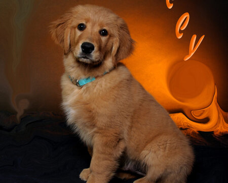 dsc_3119_ed_sito.jpeg dsc_3119_ed_sito.jpeg