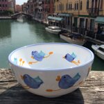 bowl-ciotola-birds-uccellini
