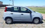 fiat-panda