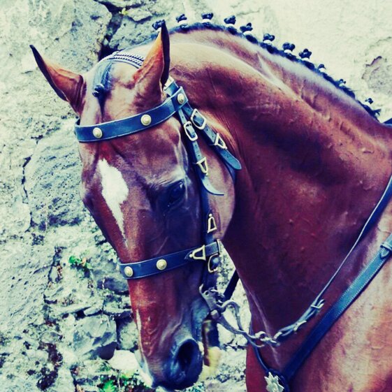 4914eabb-6597-4f70-bbd3-d91054cc417d