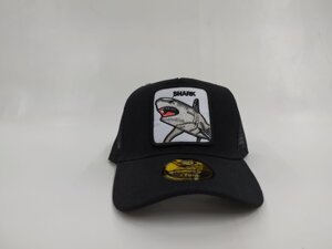 cappello-shark