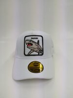 cappello-shark