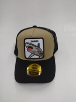 cappello-shark