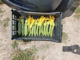 197639bb-09e4-425b-871c-626a3234b3b2