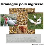 granaglie-polli-ingrasso