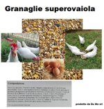 granaglie-super-ovaiole