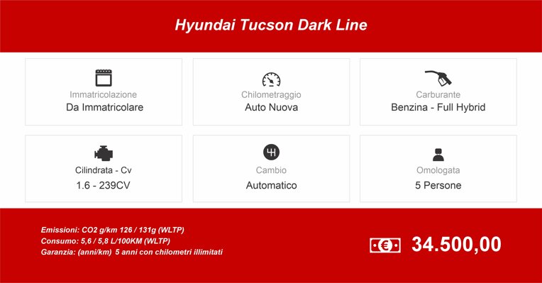 banner per giudici tucson dark line.jpeg