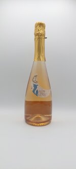 barbara-avellino-i-lupi-della-luna-2020