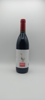 preggio-delelena-2018