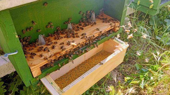 284b7c81-5872-44ce-8a92-3d5375503879