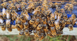 a4fdbada-6ca9-4774-b99a-24edb15bf183