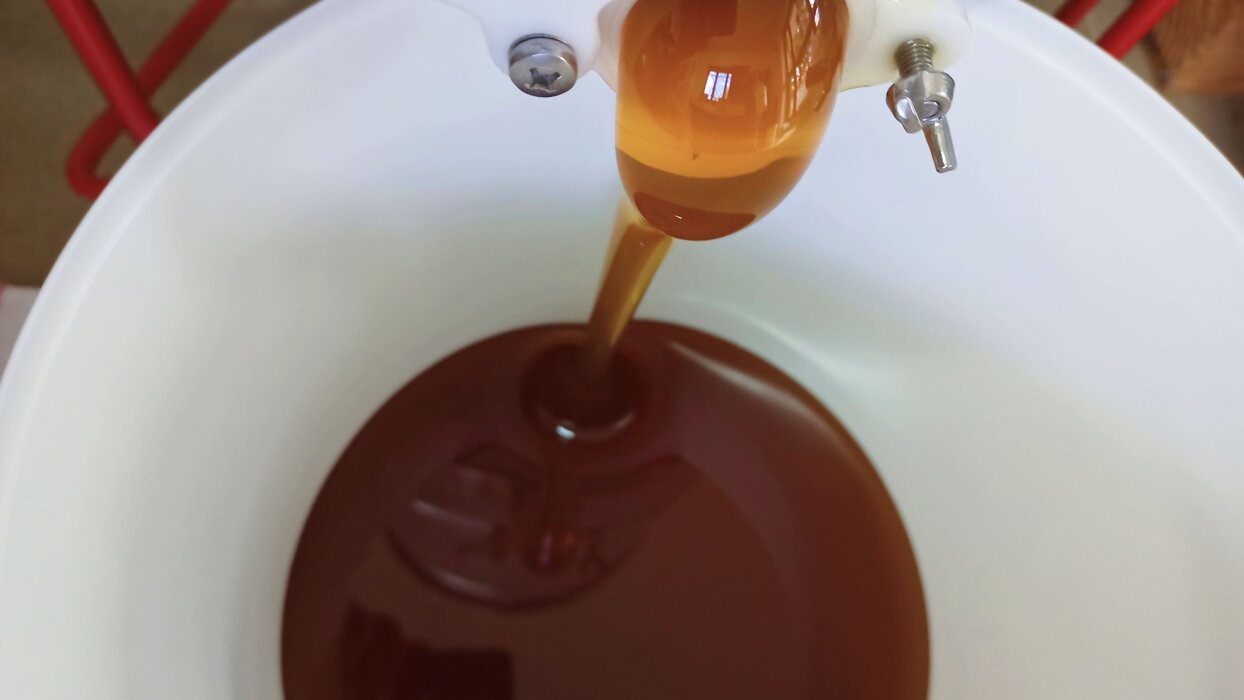 86dab458-2a49-4d08-aca1-2ef2452cc0c9