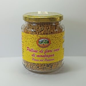 polline-del-parco-del-partenio