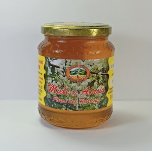 miele-di-acacia-del-parco-del-partenio