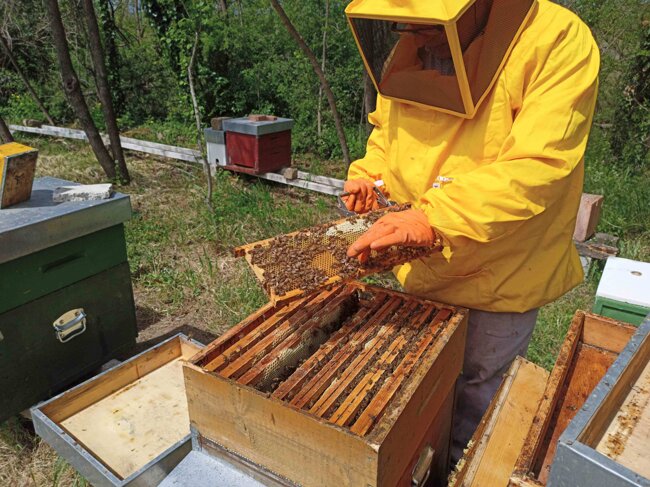 bf3bff59-cf7e-4f1e-b913-20fa654f6b80