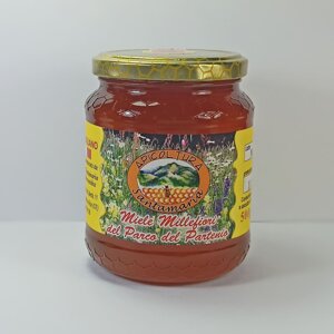 miele-millefiori-del-parco-del-partenio