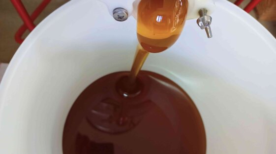 021cc455-c489-4100-843b-1e53715eae29