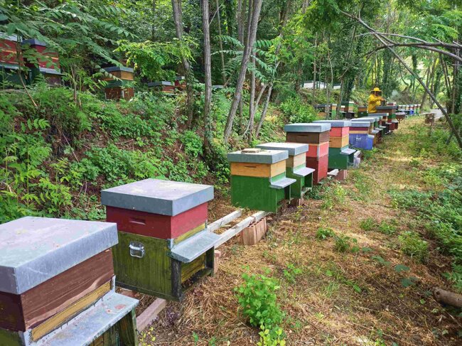 3cb0b9f1-fd15-4cc1-89cf-d821a1b23c56