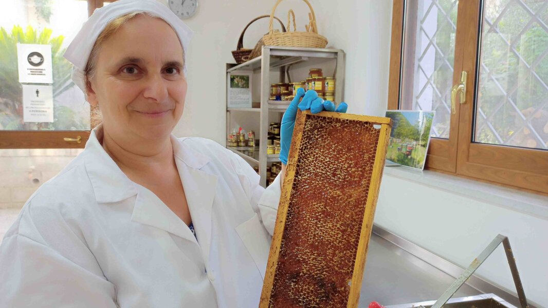 Laboratorio di smielatura