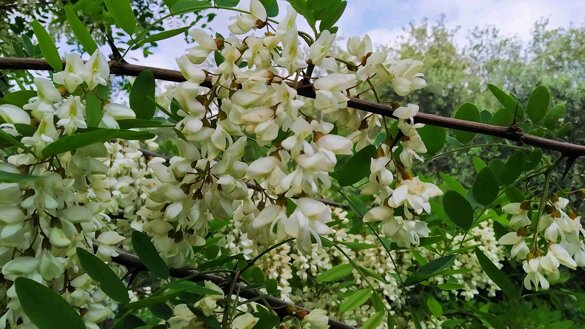 9406d156-61ed-4a31-8e01-025636f25cc7