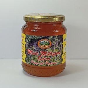 miele-millefiori-estivo-del-parco-del-partenio