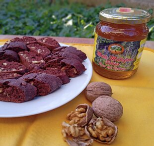 08ae01dd-6668-4ae7-ace3-e85d5493e225