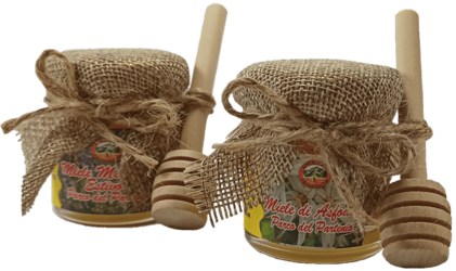 ae4a310d-5d11-4ad2-9b85-857c9e43adef