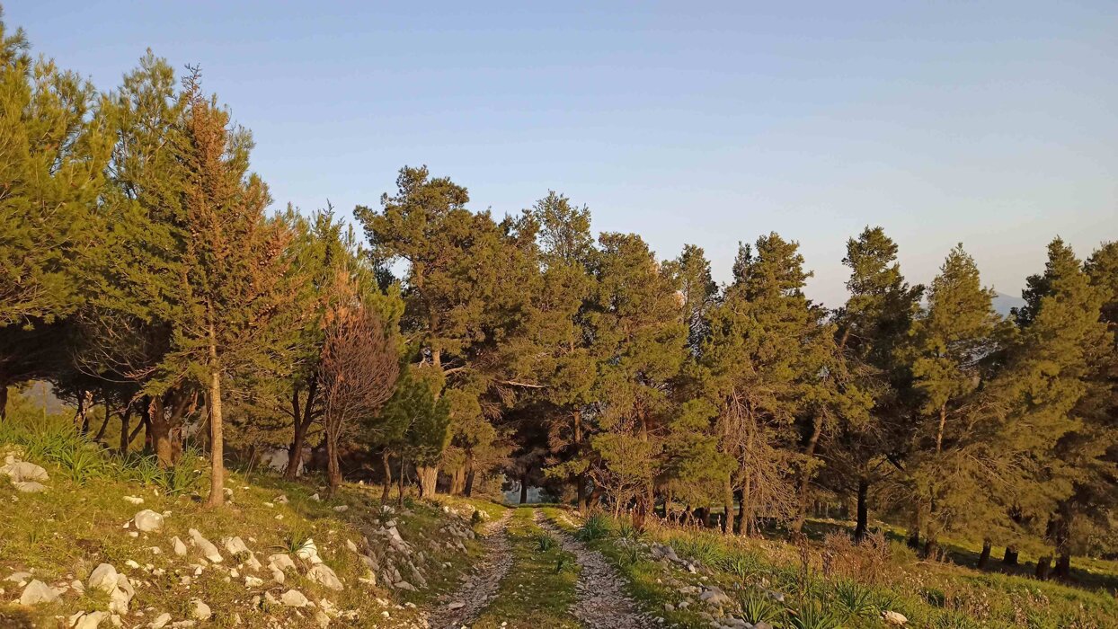 4ea6e555-78d9-4368-9b23-11febc9f50df