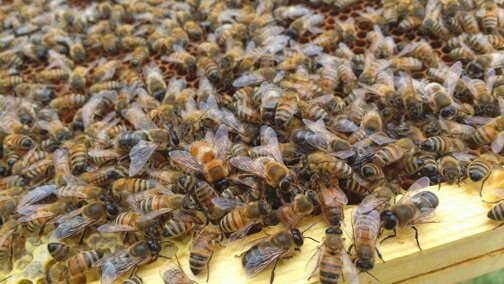 d7290e8b-9998-4527-9a3d-35cc2093e4bf