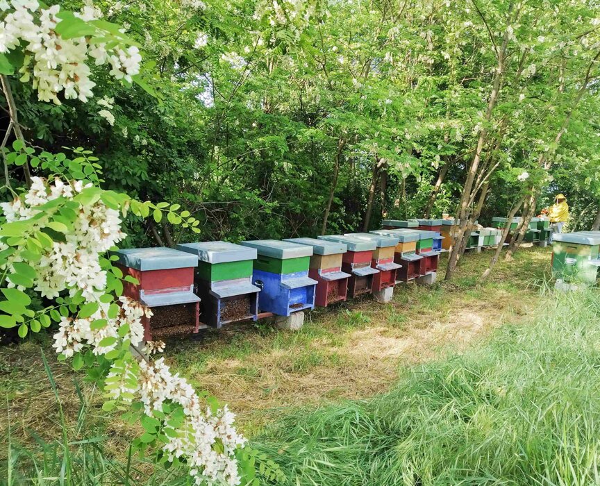 e582d8e2-c6be-47a5-ad64-bbc5b04f4a04