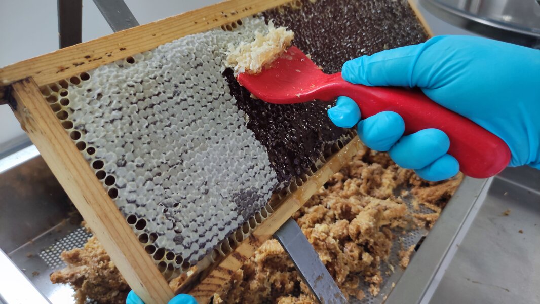 Laboratorio di smielatura