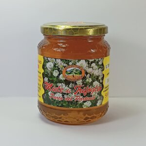 miele-di-trifoglio-del-parco-del-partenio