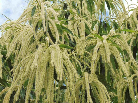 31e81f05-03f3-49d4-a3e4-2a3f153f6aa4