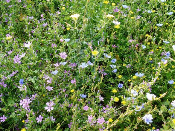 8d64ec32-8dfe-4031-bf1c-c306780f6402