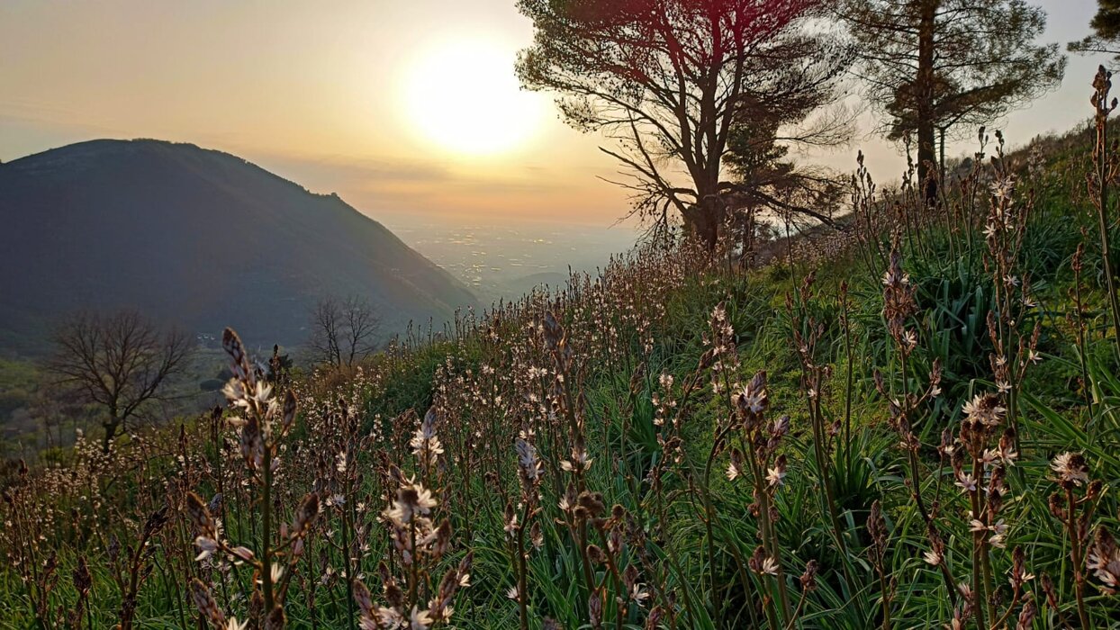 0aab9c73-4e26-4bf5-895c-426d6cf7548c