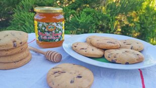 9ada14fd-e18a-4552-a34b-384df34a37a5