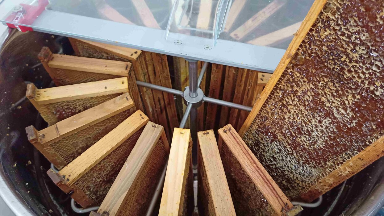 ba446141-5171-43ed-9804-d0f471623295