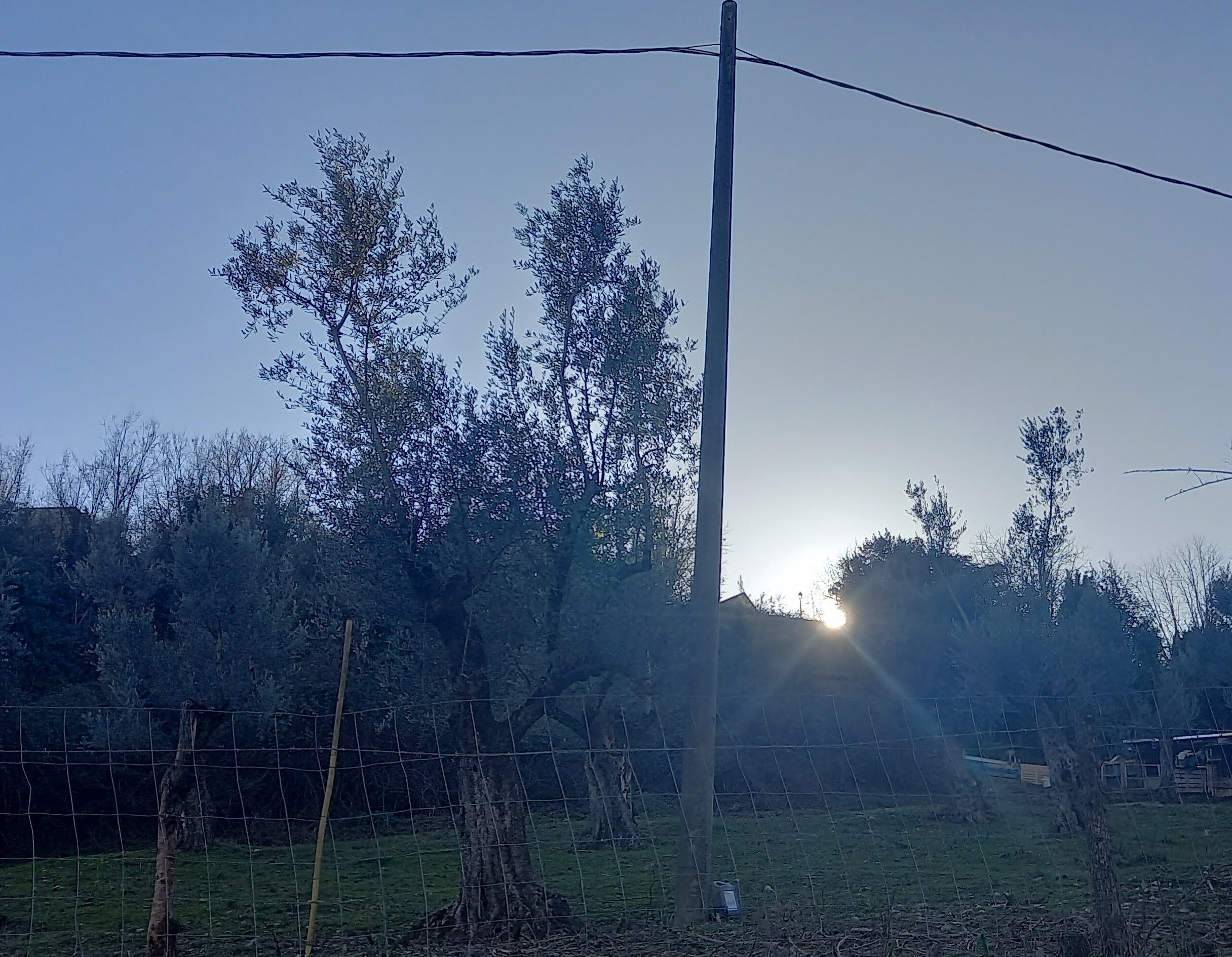 Potare &egrave; un atto di coraggio o un atto di confronto?