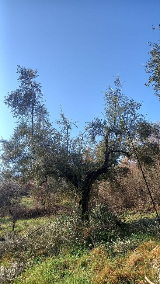 Dialogo tra patriarchi e uomini