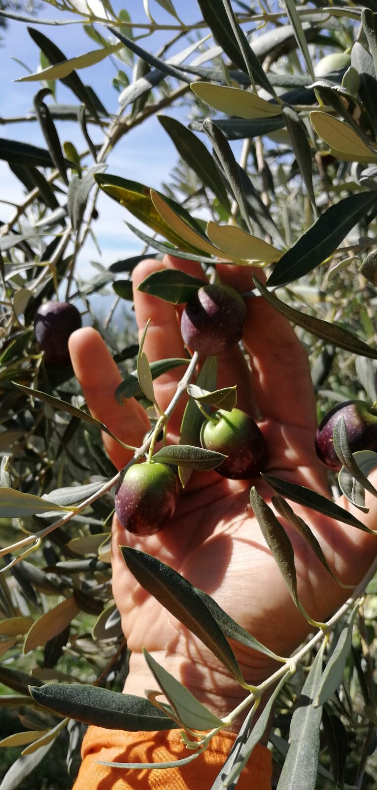 Solidali con i consumatori NON adegueremo i prezzi di listino