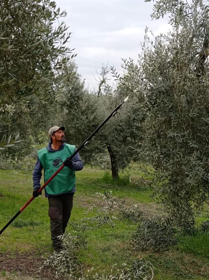 La potatura. Un dialogo tra natura e uomo.
