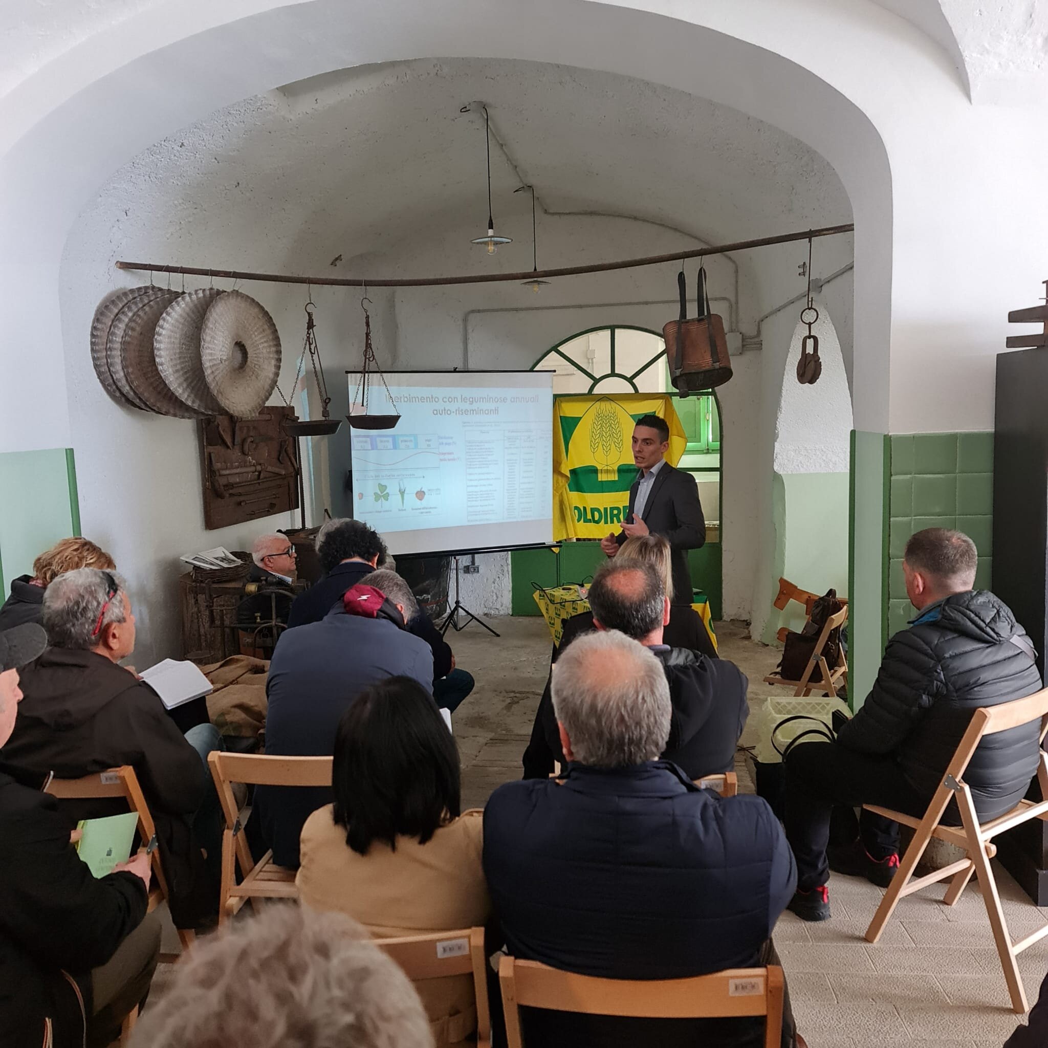 Prima giornata di avvicinamento all'olivicoltura