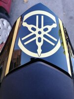 adesivi-compatibili-codone-r1-20042006