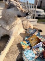 oracolo-dei-maestri-saggezza-e-guida-universale