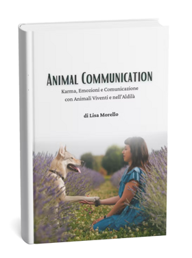 4975401c-f2f2-45bb-af55-f4bbb0e832c8